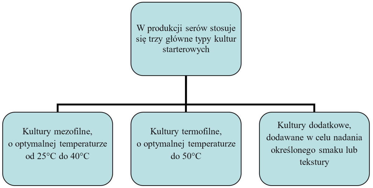 sery kultury starterowe