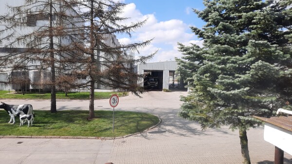 Krasnystaw (2)